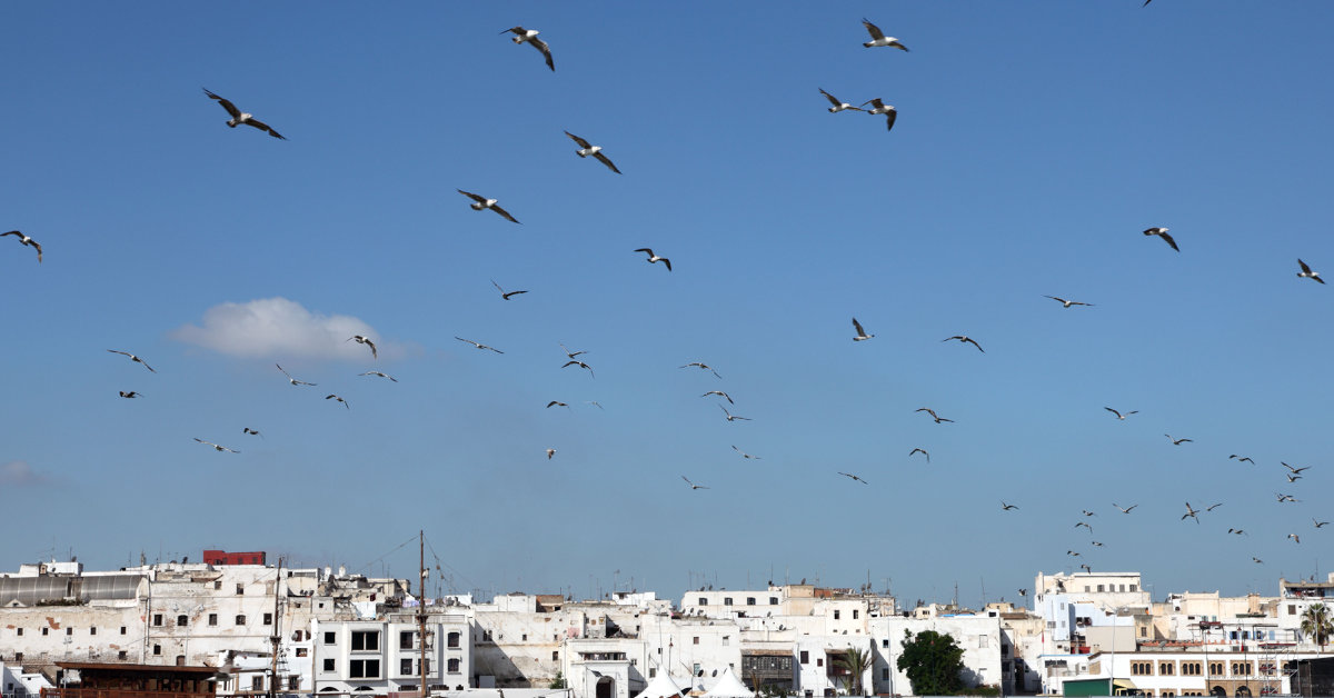 Rabat