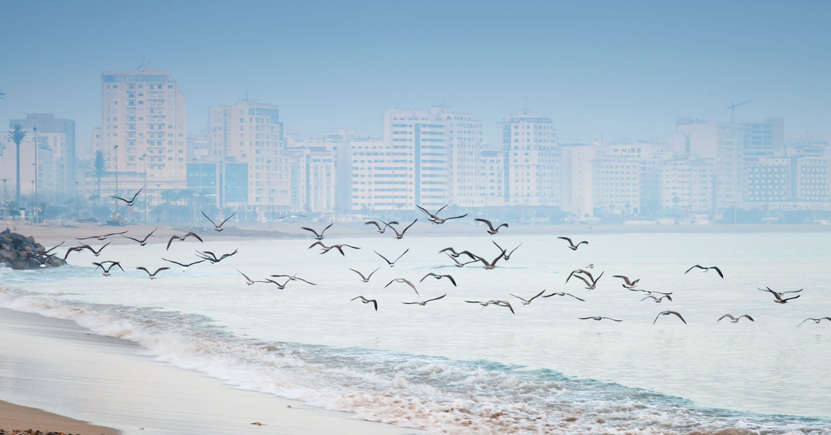 Tangier