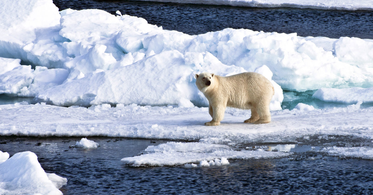 Svalbard