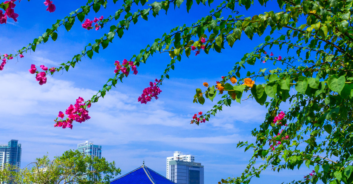 Colombo