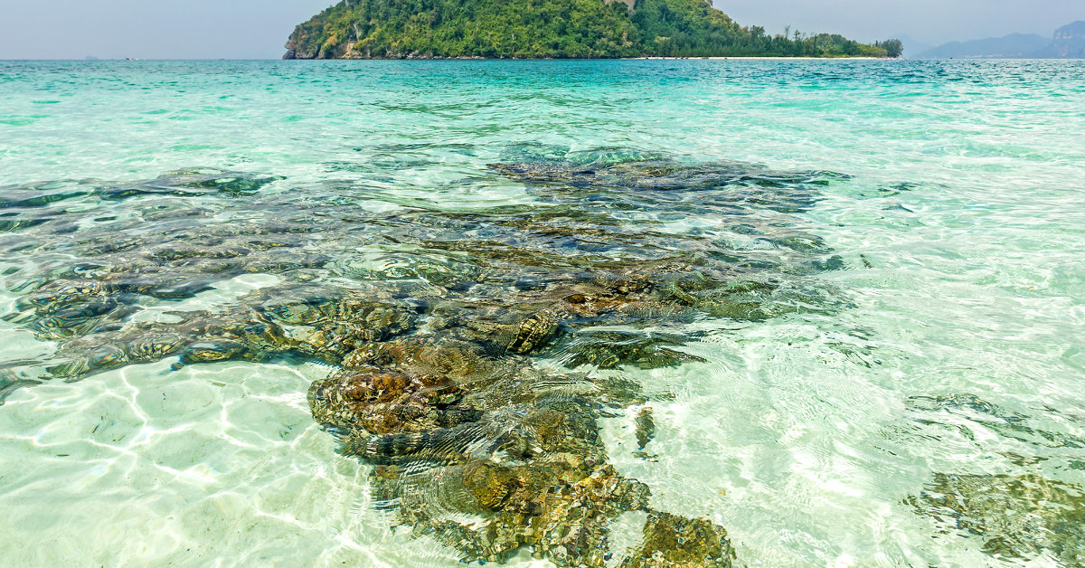 Krabi